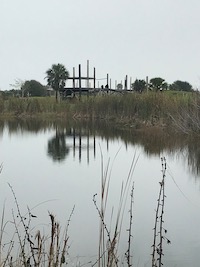 St.chimp-view1