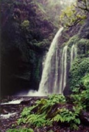 inwaterfall