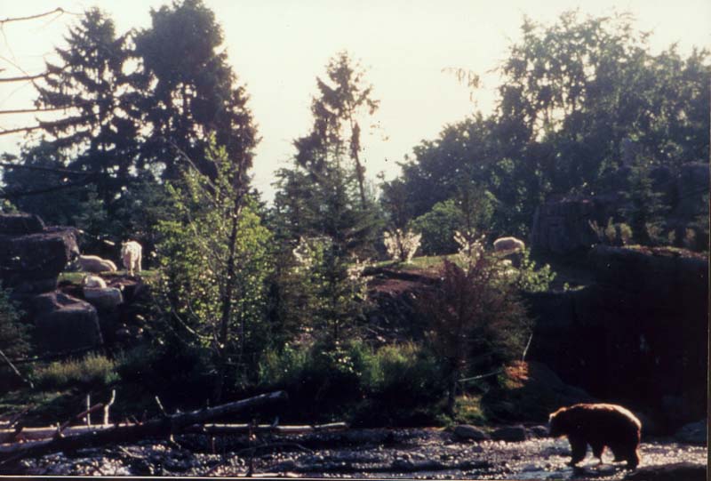 m-WPZ-nt photo
