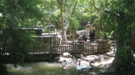 dnz-pp-aviary