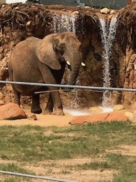 e-at-splash_pad-small