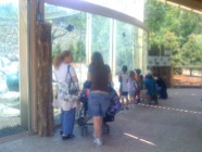 SZ_BB_photo 1